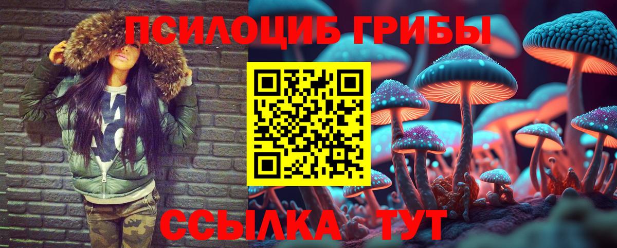 Нальчик  Псилоцибиновые грибы GOLDEN TEACHER  Псилоцибиновые грибы Magic Shrooms  где купить   Вход с VPN 
